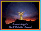 Cool Site Award